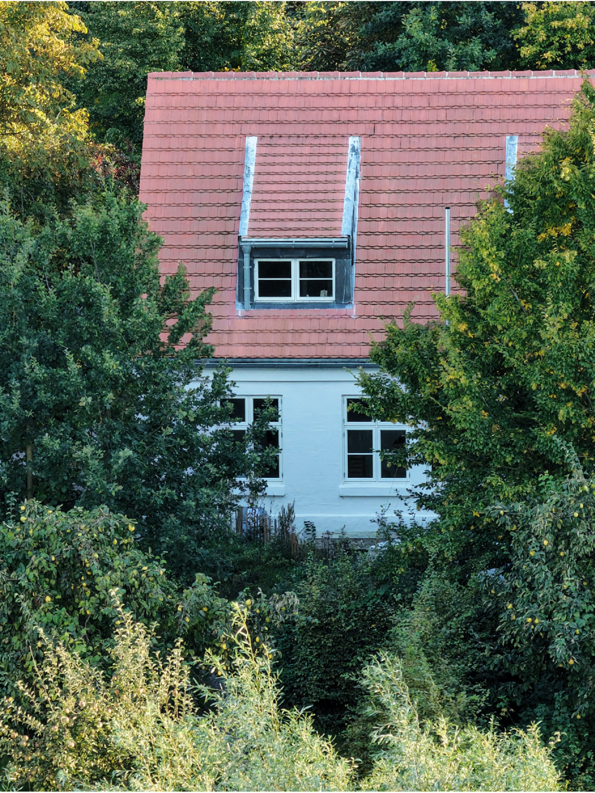 Das Haus liegt versteckt zwischen Bäumen und hohem Bewuchs.