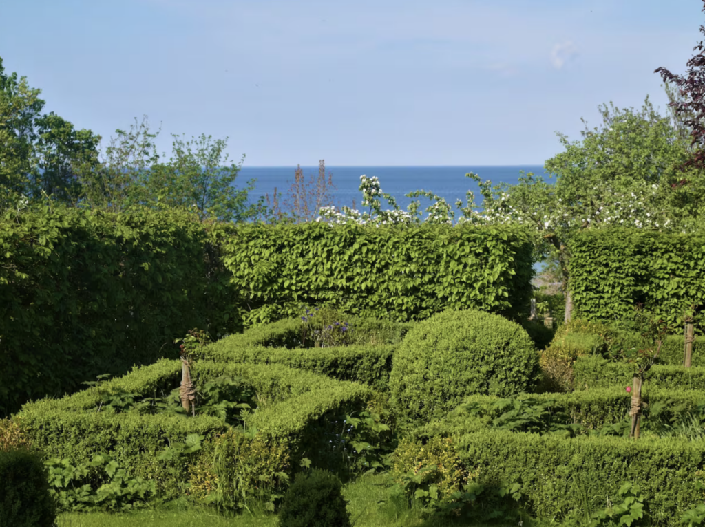 Garten mit geschnittenen Buchshecken, dahinter blühende Obstbäume und die Ostsee.
